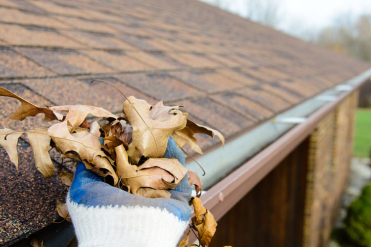 Manutenzione tetti e pulizie